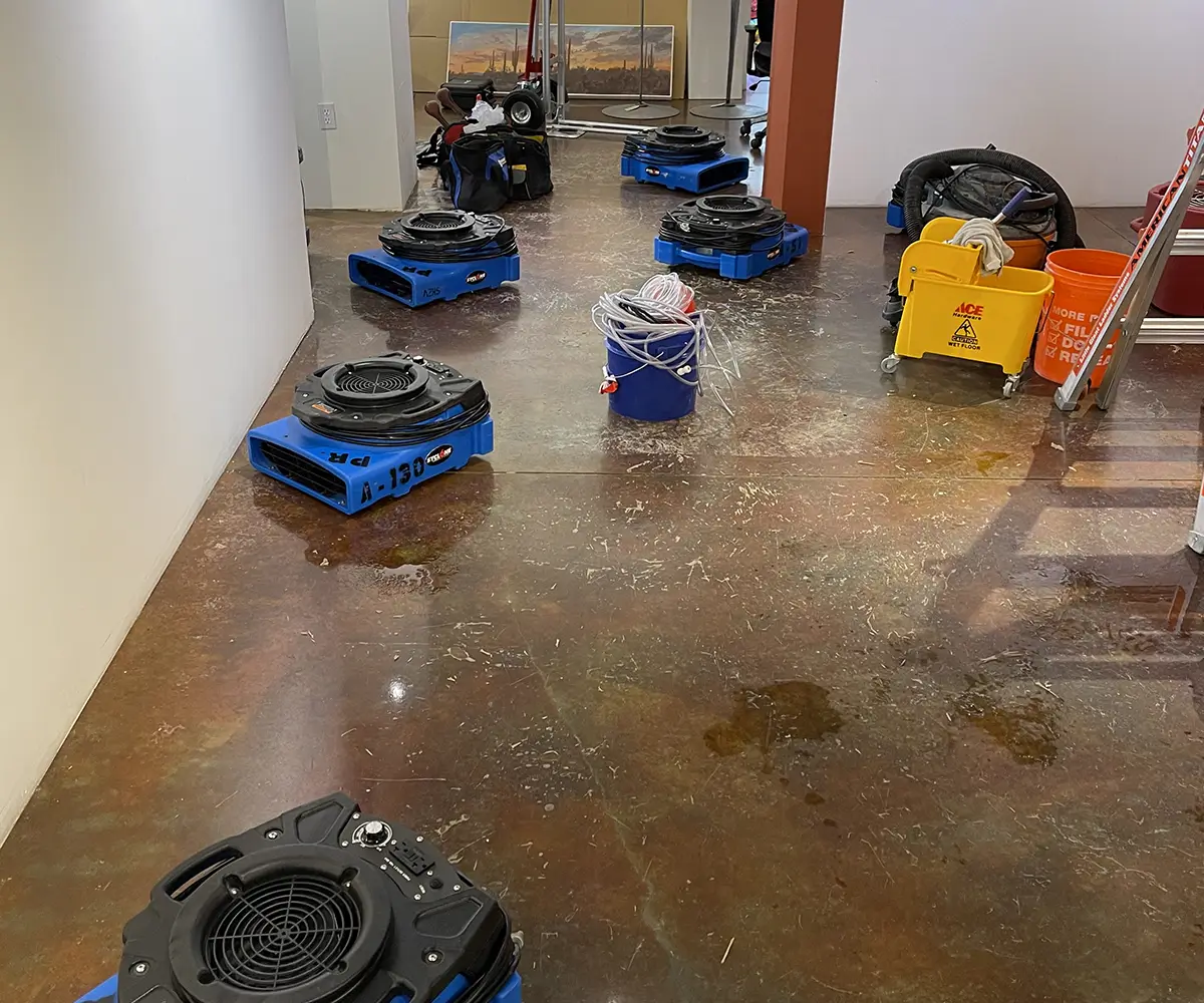Expert Water Damage Remediation for Apache Junction Homes